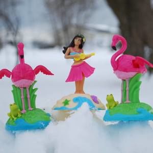 Meet your Posher, Lisa